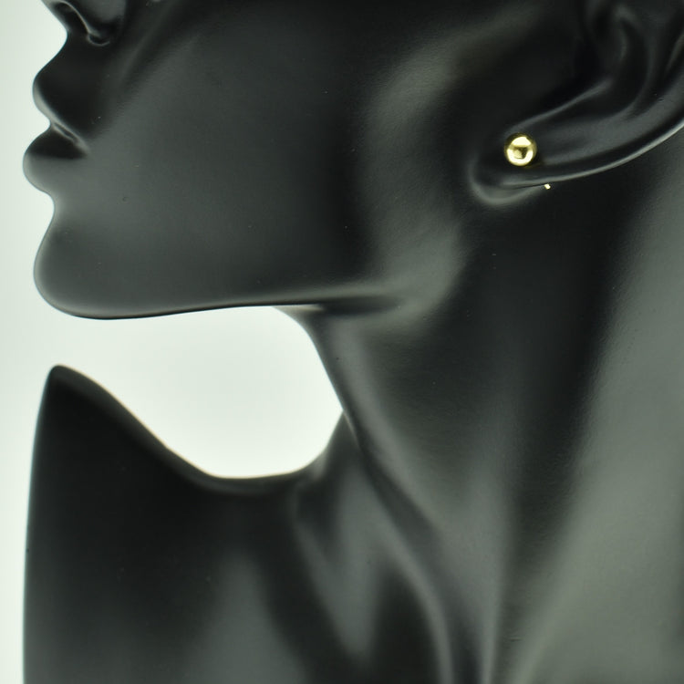 Silver 925 Earrings