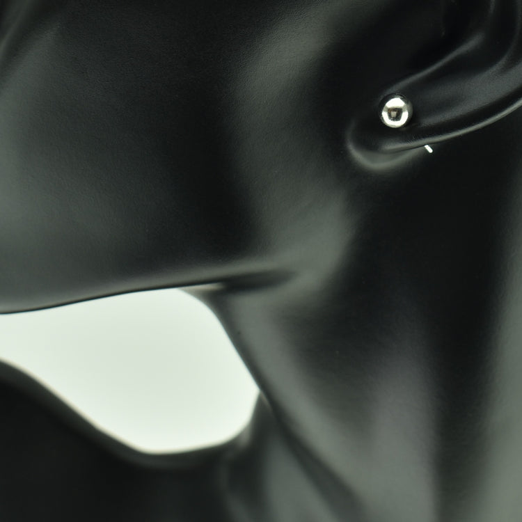 Silver 925 Earrings