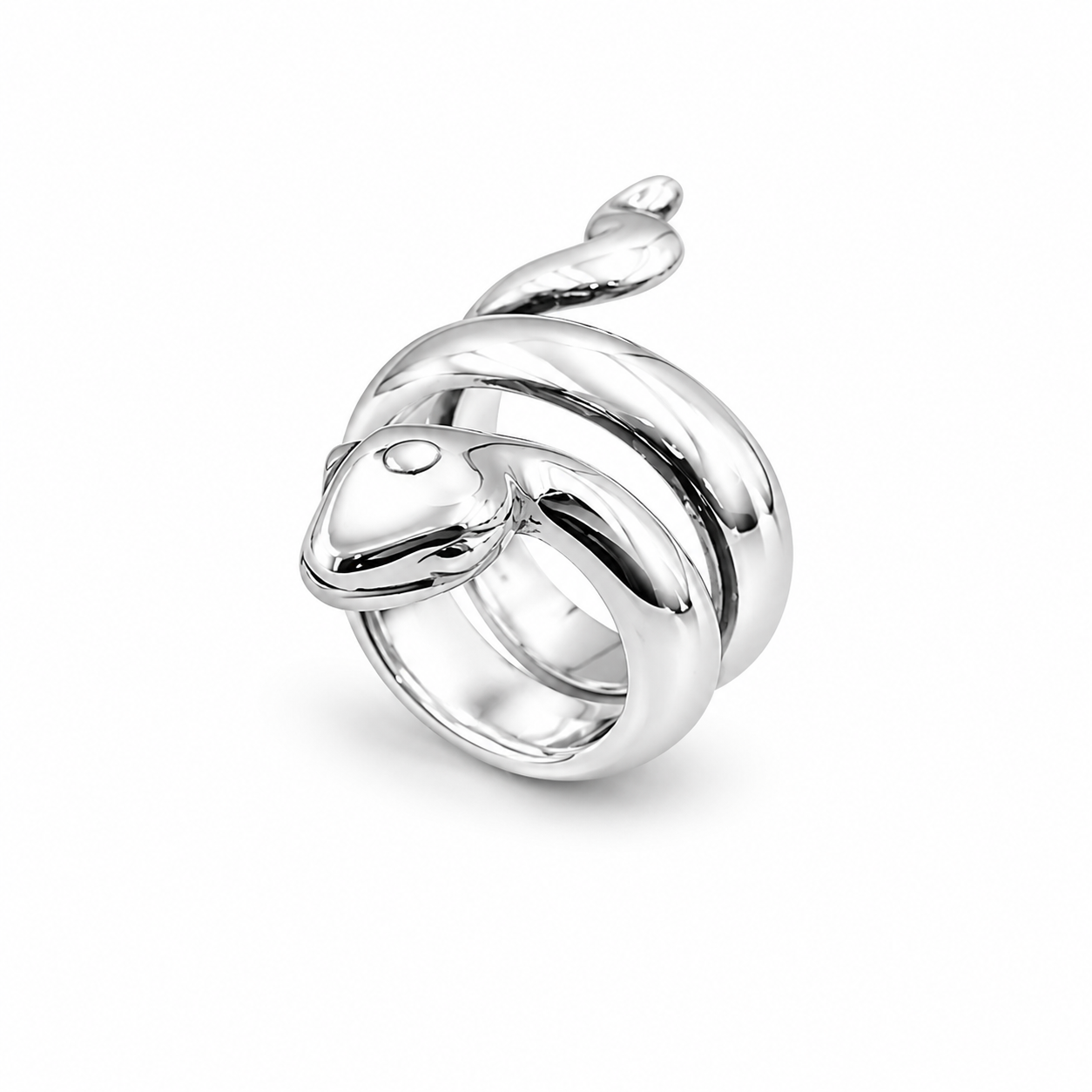 COILED SERPENT RING — ΔΑΧΤΥΛΙΔΙ ΑΣΗΜΙ 925 ΦΙΔΙ ΣΕ ΣΠΕΙΡΑ